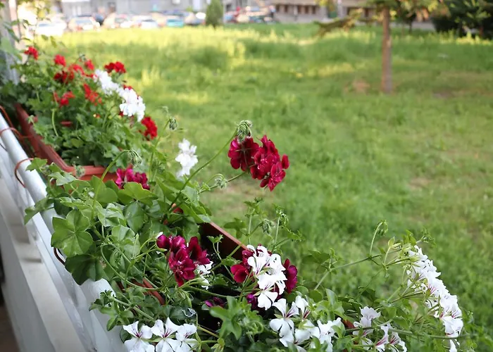 Апартамент - Lets4holiday